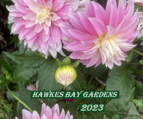 Gardens in Hawkes Bay NZ